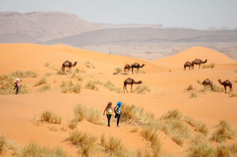 photo Trek Elles Marchent