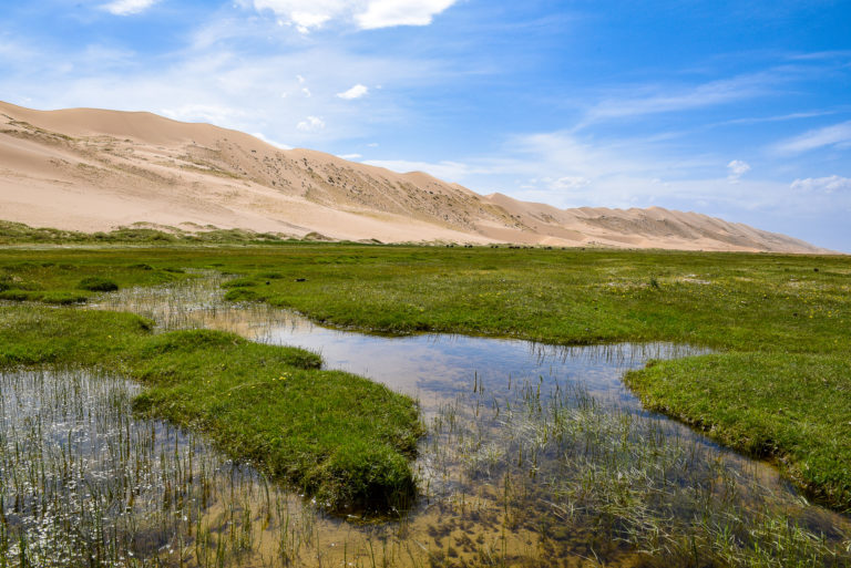 photo illustration mongolie desert de gobi