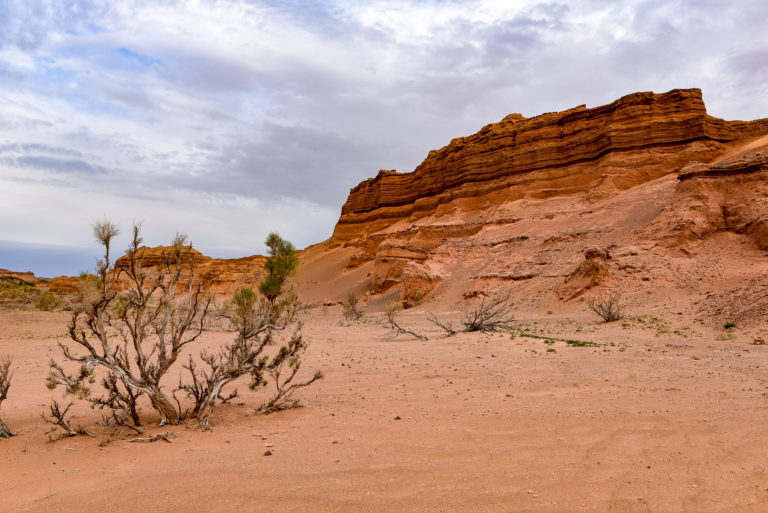 photo illustration mongolie