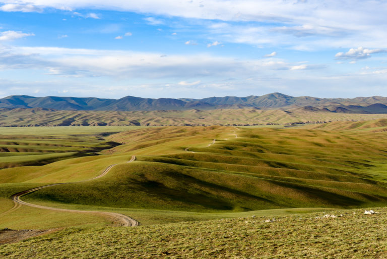 photo illustration mongolie