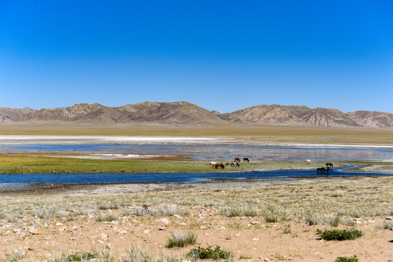 photo illustration mongolie