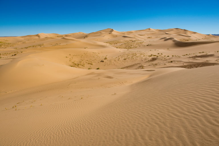 photo illustration mongolie desert de gobi