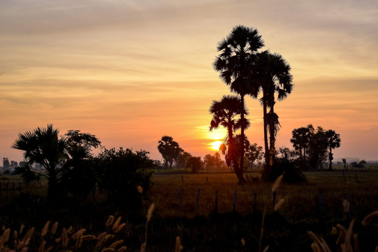 photo illustration coucher soleil vietnam