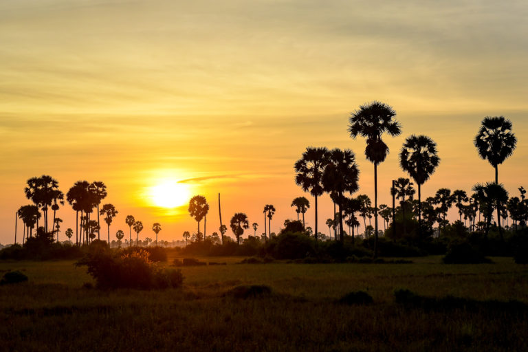 photo illustration coucher soleil vietnam