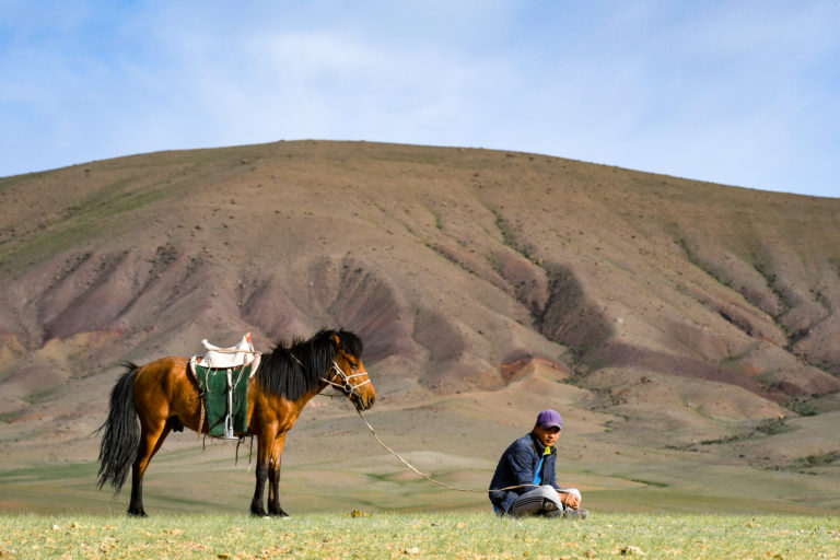 photo illustration mongolie cavalier cheval
