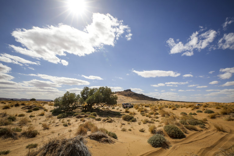 Photo Rallye des Gazelles